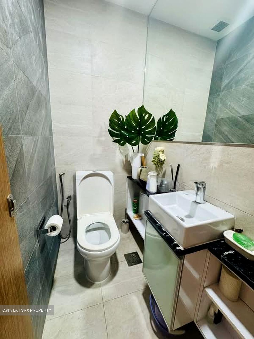 Lotus Ville (D15), Terrace #528234691